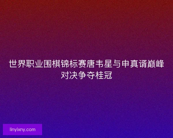 世界职业围棋锦标赛唐韦星与申真谞巅峰对决争夺桂冠